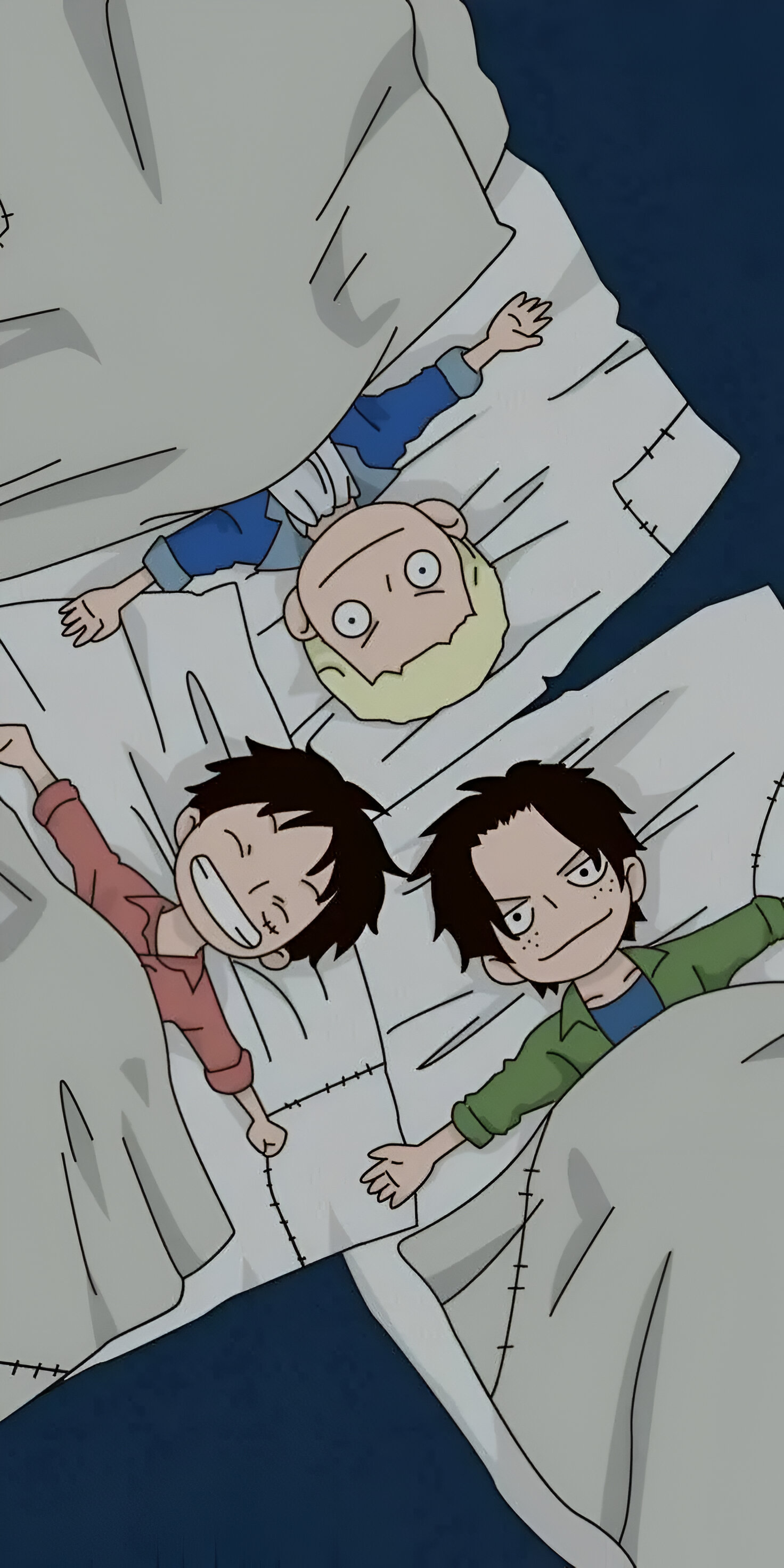 Hình nền One Piece đẹp, chất lượng cao dành cho điện thoại